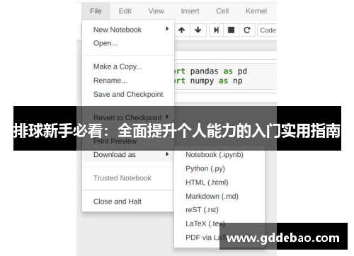 排球新手必看：全面提升个人能力的入门实用指南