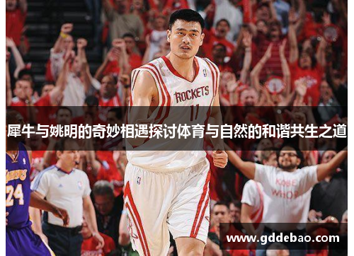 犀牛与姚明的奇妙相遇探讨体育与自然的和谐共生之道